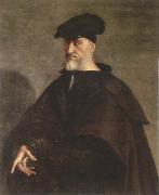 portrait of andrea doria Sebastiano del Piombo